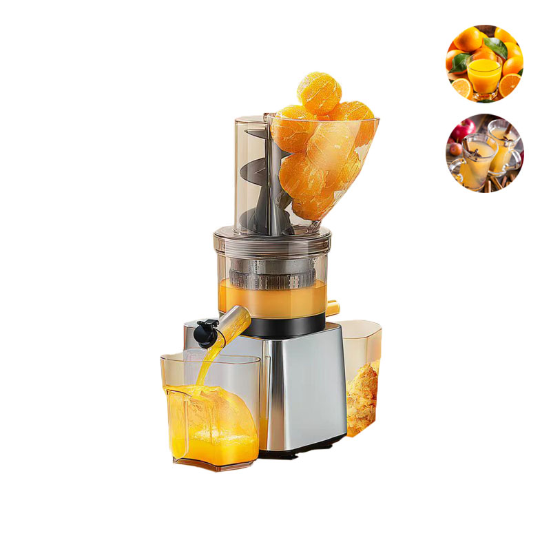 Juicer Cold Press Slow - Extracteur de jus lent commercial 500W