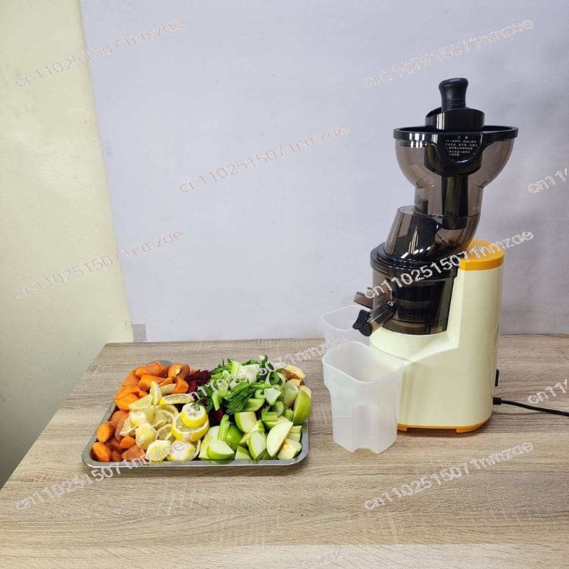 Juicer Cold Press Slow - Presse-agrumes lent de grand diamètre de