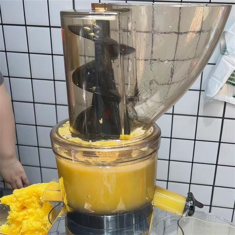 Juicer Cold Press Slow - Extracteur de jus professionnel 500W à