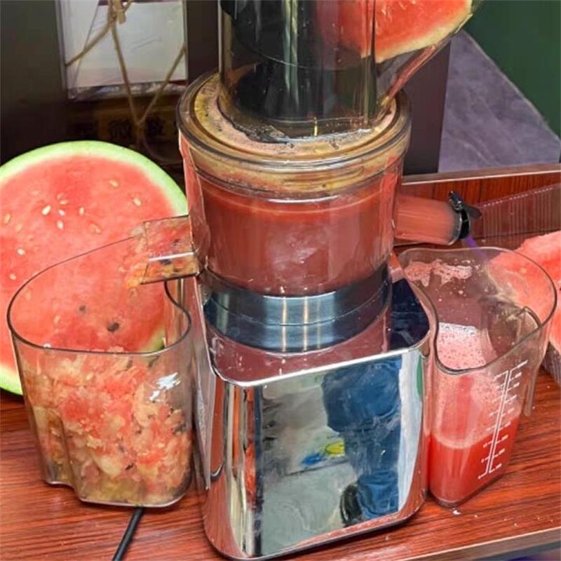 Juicer Cold Press Slow - Extracteur de jus à mastication lente