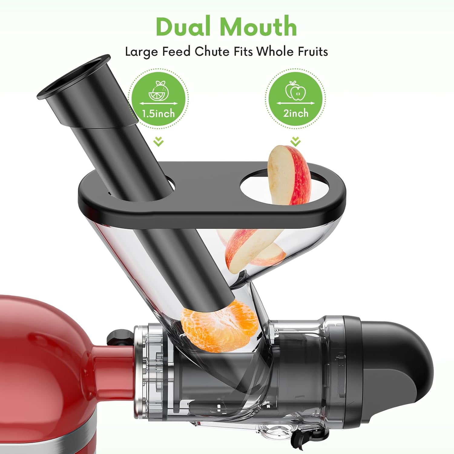 Accessoire de presse-agrumes à - Juicer Cold Press Slow avis et prix
