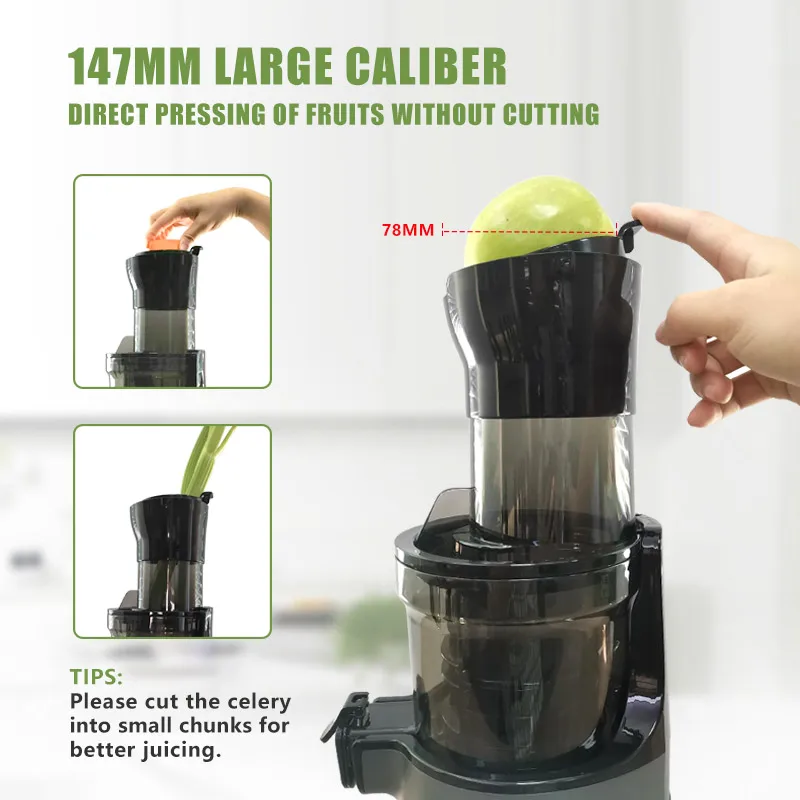 Extracteur de jus lent électri - Juicer Cold Press Slow avis et prix
