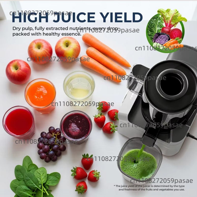 Extracteur de jus à vitesse le - Juicer Cold Press Slow avis et prix