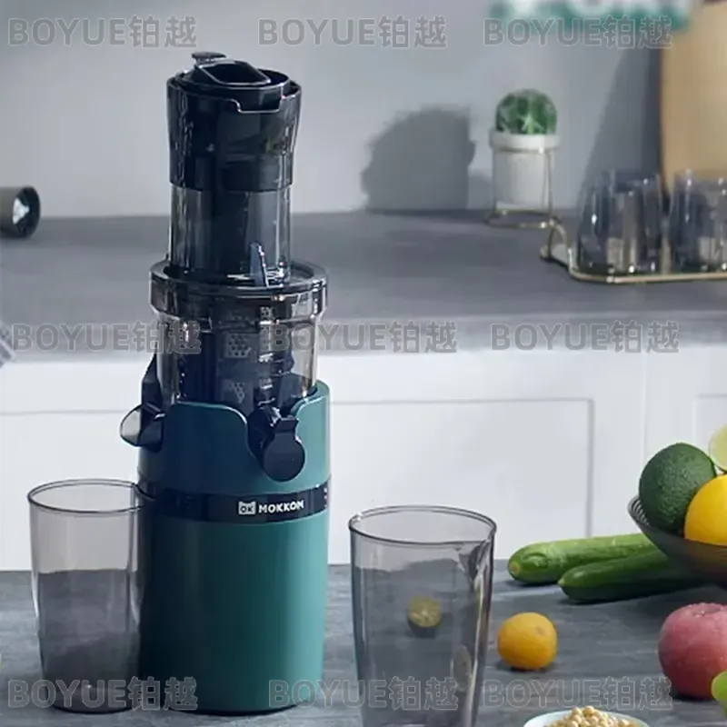 Extracteur de jus à froid à gr - Juicer Cold Press Slow avis et prix